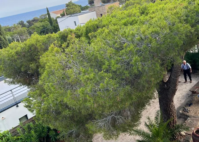 Paradis Hotel *