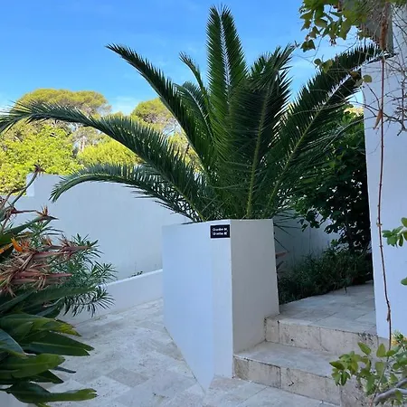 Paradis