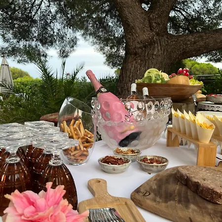 فندق Paradis