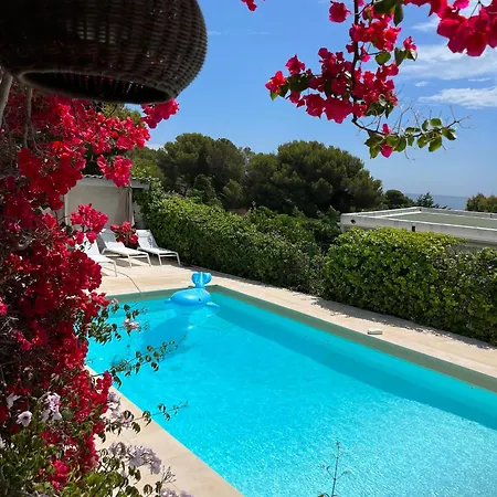 Paradis