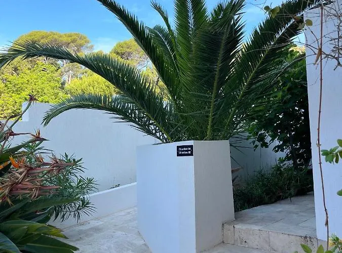 Paradis