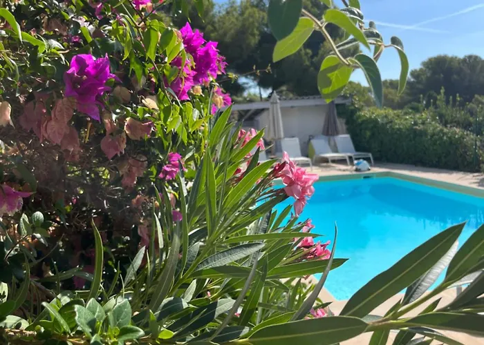 فندق Paradis