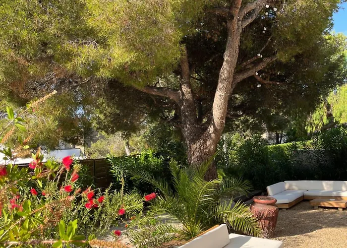 Paradis فندق